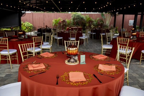 wedding color palettes botanical garden wedding venue orlando wedding celebration gardens www.orlandocelebrationgardens.com 14 - Top Wedding Color Palettes to Jumpstart your Wedding Planning wedding color palettes botanical garden wedding venue orlando wedding celebration gardens www.orlandocelebrationgardens.com 14