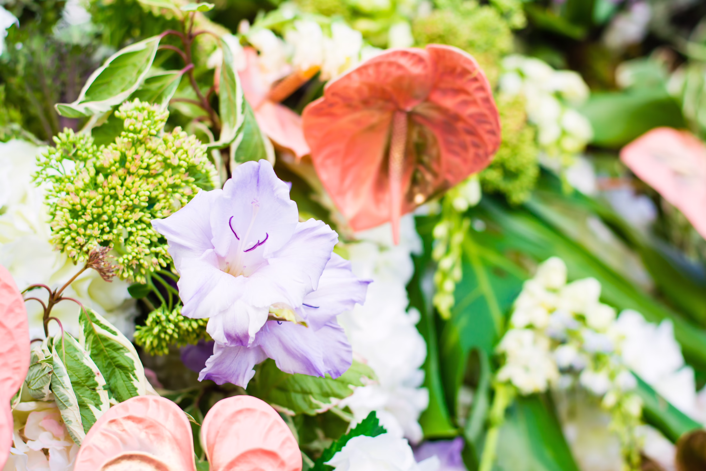 celebration of life floral arrangement orlando celebration gardens winter park - Social Events Beautiful celebration of life floral arrangement featuring purple flowers, coral anthurium, and green foliage at Orlando Celebration Gardens in Winter Park, Florida