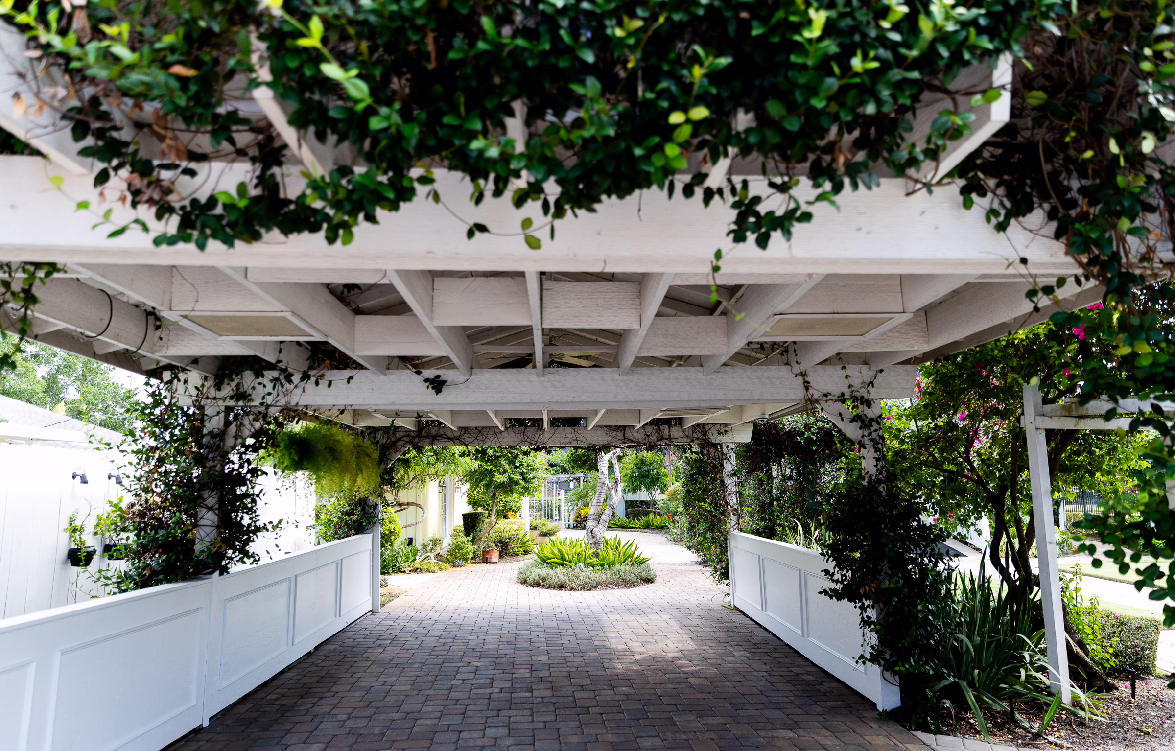 orlando celebration gardens white pergola walkway winter park wedding venue - Corporate Events White wooden pergola walkway with brick pathway and lush greenery at Orlando Celebration Gardens wedding venue in Winter Park, Florida